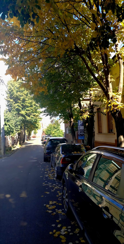 Lucrari amenajare parcare str. Grivitei si str. Aurel Pop